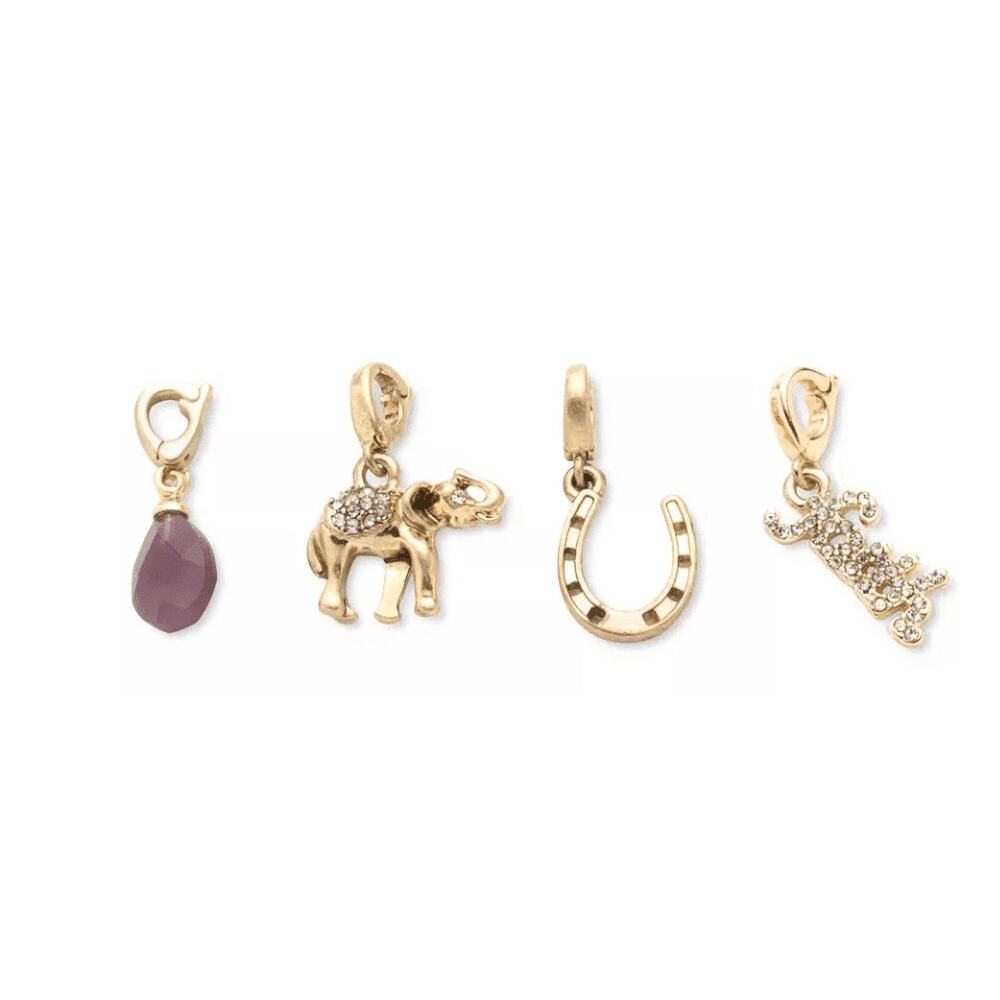2025 NWT Lonna & Lilly 4-Pc. Gold-Tone "Good Luck" Charms for Necklace/Bracelet
